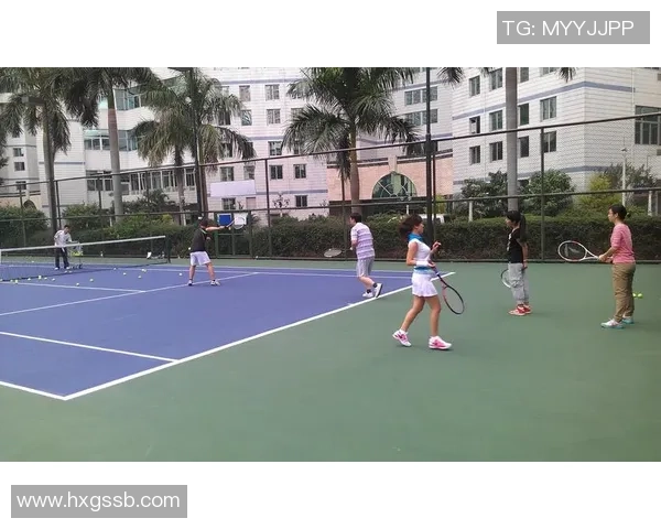 深圳网球队速度之争引发热议球迷与专家观点交锋