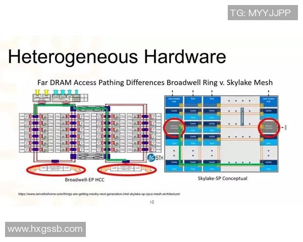 独家分析：南京羽毛球队的战术对比